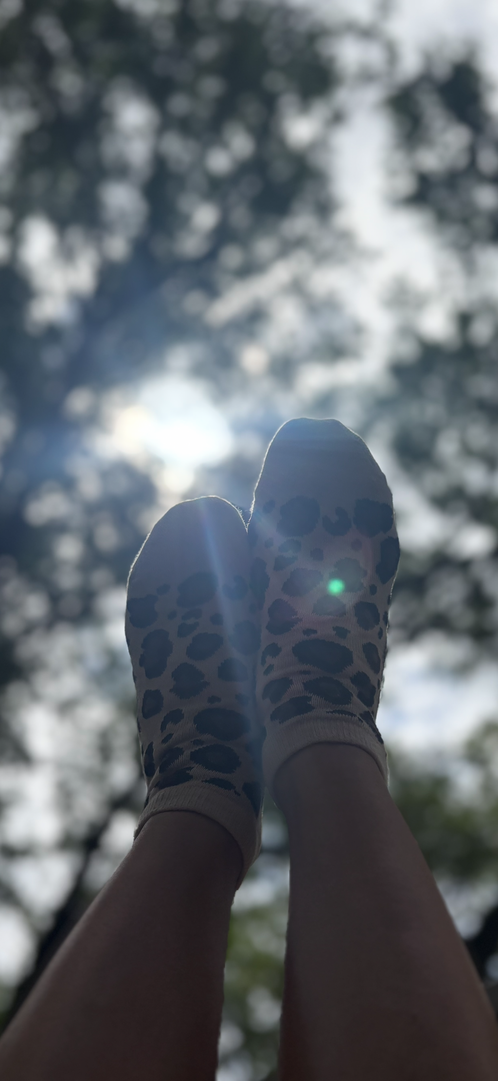 Used Cheetah 🐆 Ankle Socks 🖤